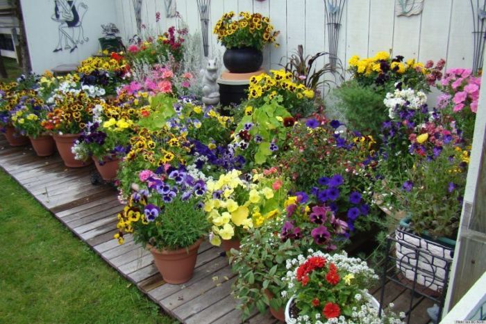 CONTAINER-GARDENS